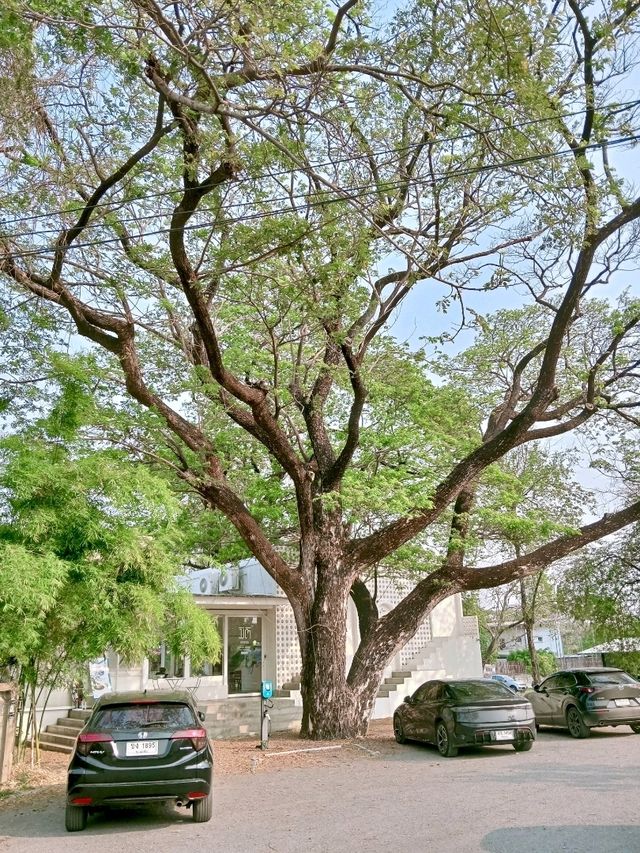 คาเฟ่ เมืองขอนแก่น สไตล์มินิมอล ใกล้สนามบิน