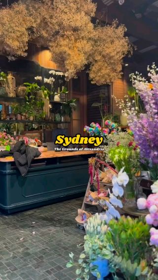 A must-see attraction in Sydney, The Grounds of Alexandria 🌿✨