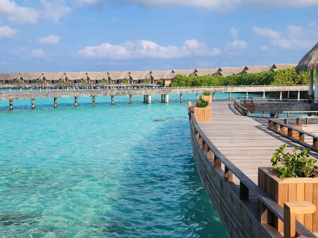 [🇲🇻モルディブ] エメラルドの海を眺めながら – 至福のスパ＆ヨガ体験