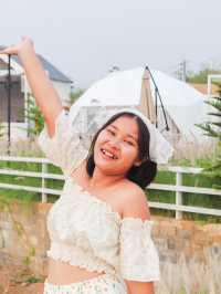 ผาม่านสุข ภูผาม่าน