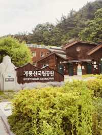 Spring's Gentle Wander on Bingyesan 🌸🚶‍♀️