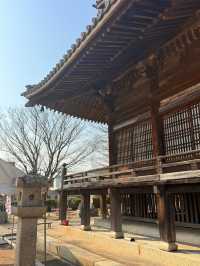 防府｜聖武天王開基的周防國分寺 1200年守護疾病與災禍