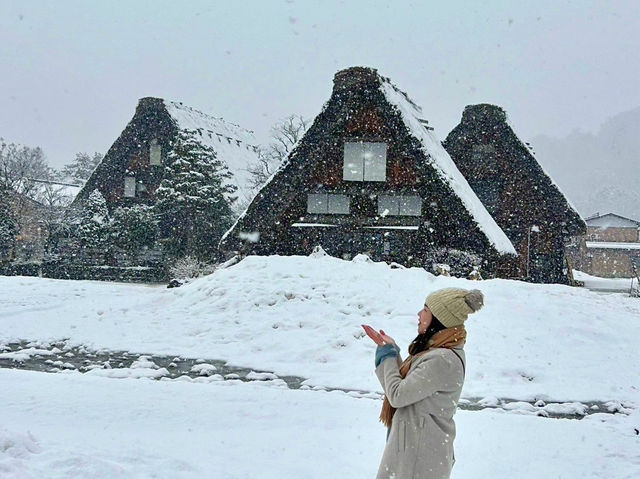 日本 名古屋 合掌村 牧歌之里 