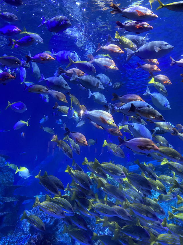 とても楽しい水族館