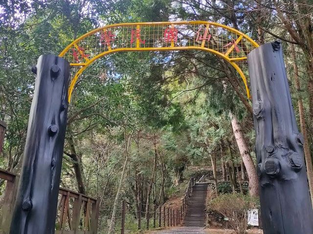 八仙山國家森林遊樂區