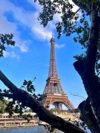 Seine River Banks: Two Distinct Worlds