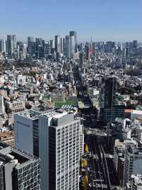 Shibuya Sky โตเกียว 360° แบบตะโกน