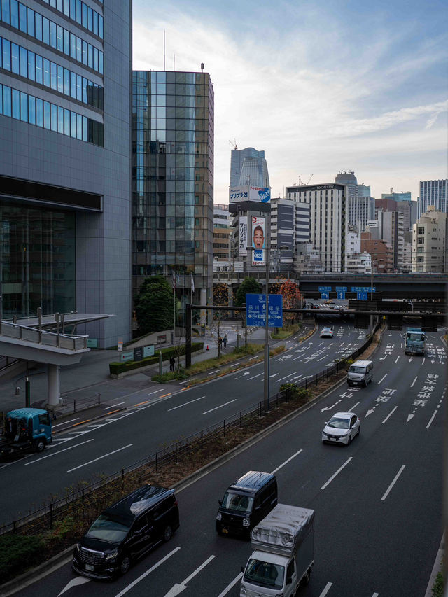 新橋の写真スナップ📸🏙️
