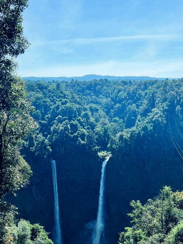 ตาดฟาน -​ Zipline