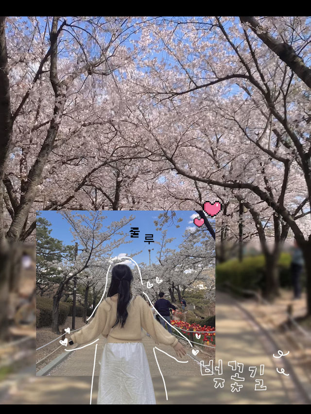 김해연지공원 다녀왔습니다🎶