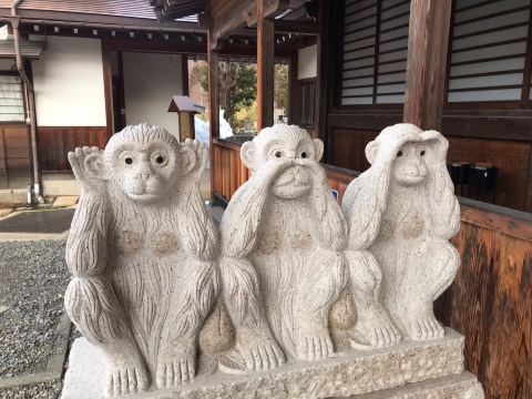渋温泉観光：逆三猿と温泉の癒し | Trip.com 山ノ内町