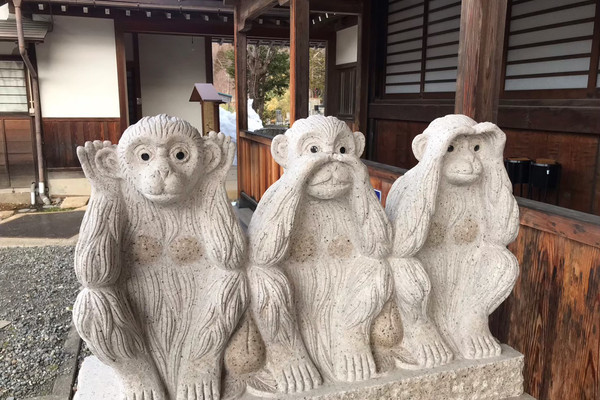 渋温泉観光：逆三猿と温泉の癒し | Trip.com 山ノ内町