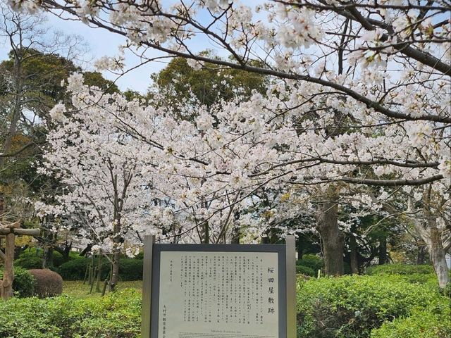 日本九州長崎大村公園
