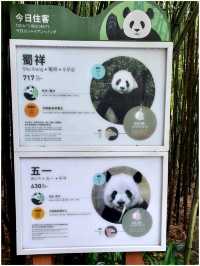 ดูแพนด้าแบบใกล้ชิด @ Panda Valley Dujiangyan