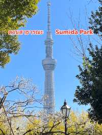 สวนสาธารณะ Sumida Park 