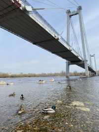 A bridge connecting with the vehicle free island 