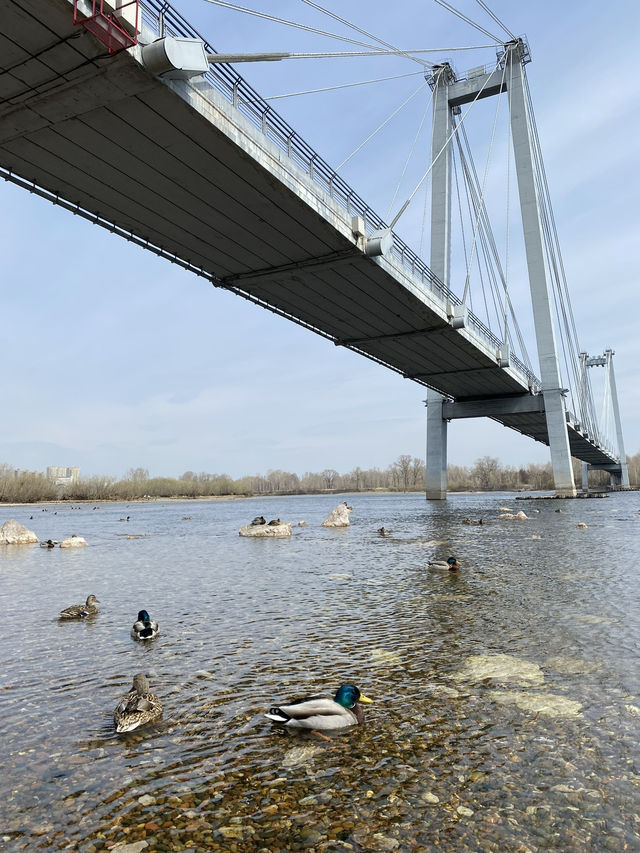 A bridge connecting with the vehicle free island 