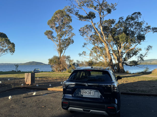 Mokoia Island 紐西蘭北島羅托魯瓦湖（Lake Rotorua）中央的一座神秘小島
