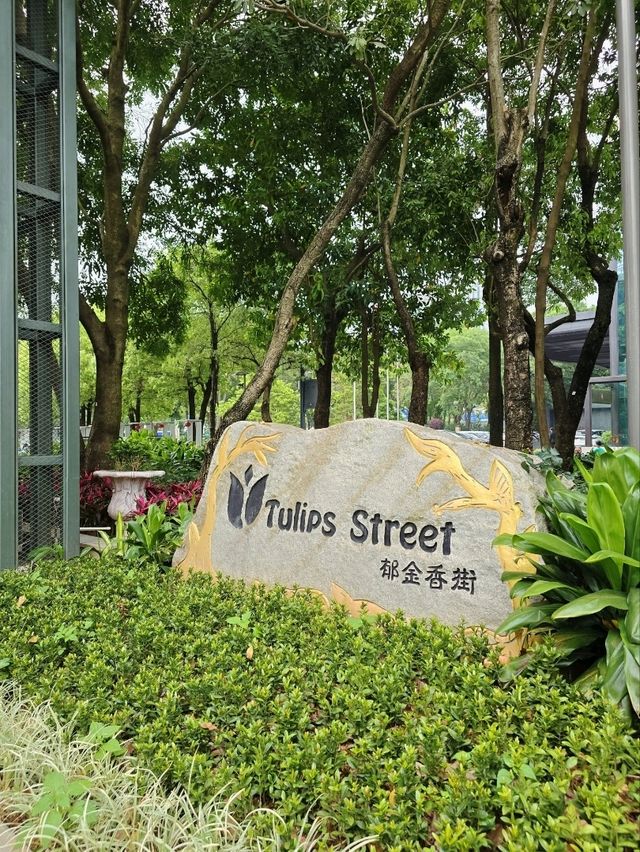 荷蘭風情花花世界