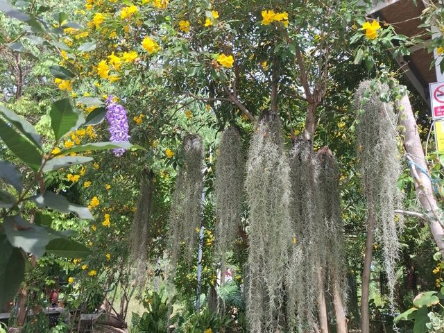 สวนลุงรินคาเฟ่ ชะอำ