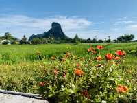 ลานนา วอเตอร์ไซด์ – วิวเขาอกทะลุ บรรยากาศดีๆ