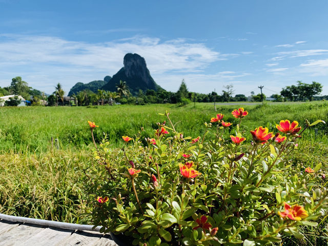 ลานนา วอเตอร์ไซด์ – วิวเขาอกทะลุ บรรยากาศดีๆ