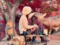 Nara Park 