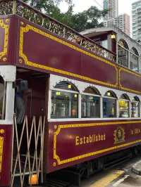 Stroll around the downtown of Hongkong