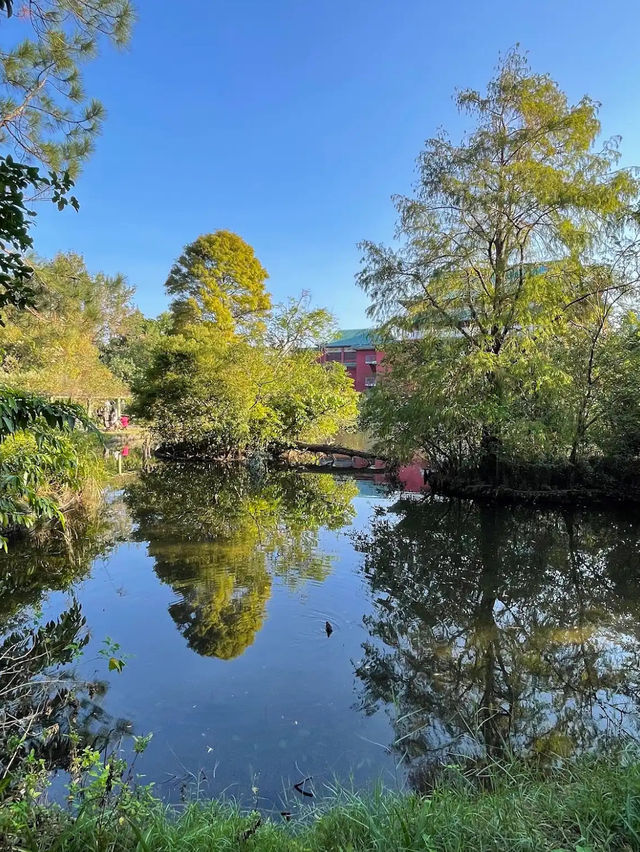 Taipei Botanical Garden