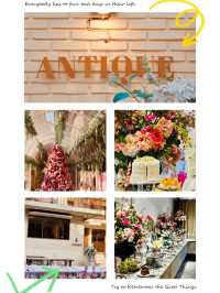 Antique Coffee Jamsil: A Special Time Surrounded by European Flowers ☕💐🕰️