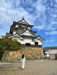 ひこにゃんで有名なお城🏯国宝 彦根城に行ってきた！