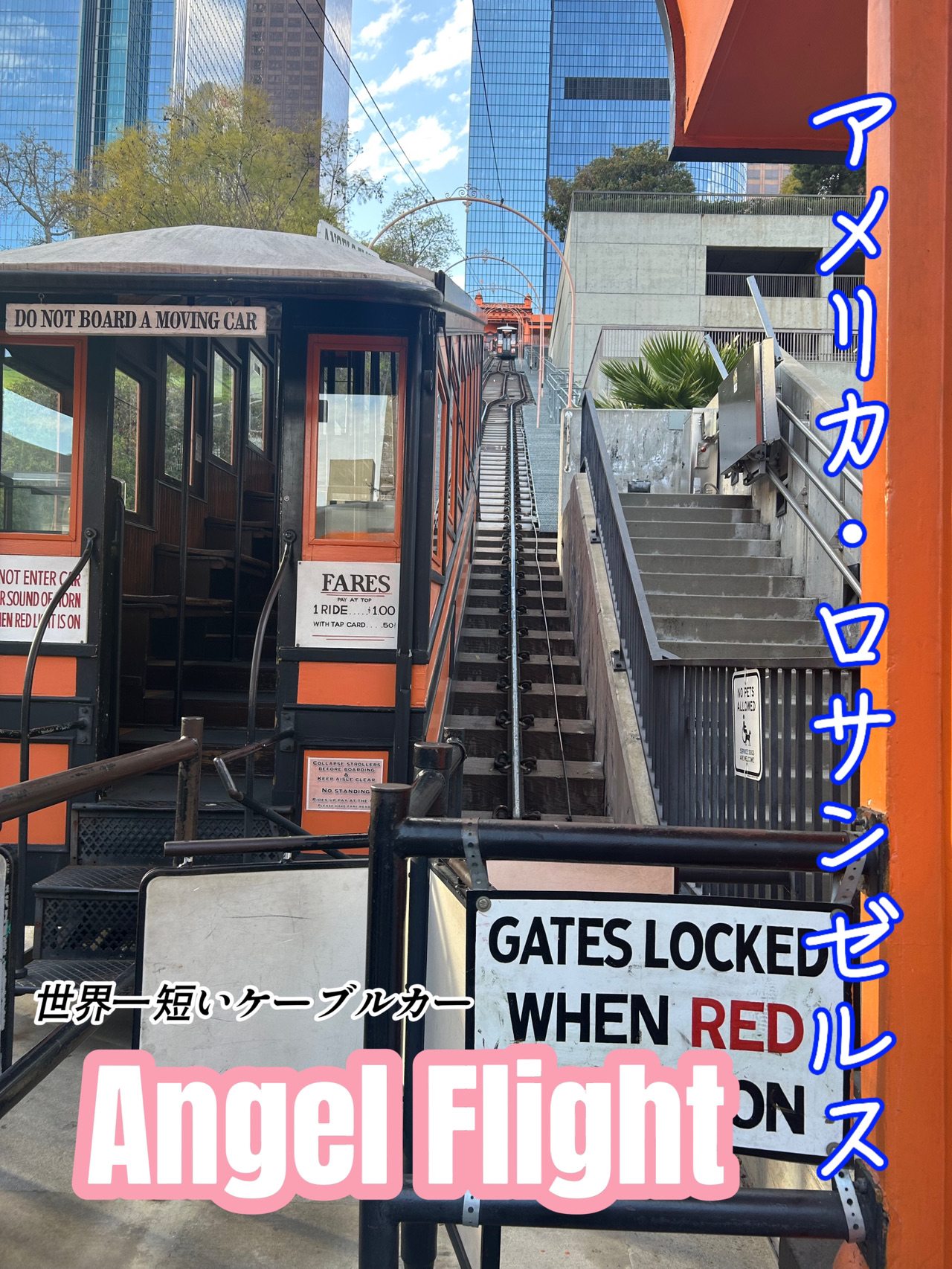 ロスエンジェルス Los Angeles Angels – Great American