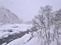 Snowflakes, Lanterns & Surprises — My Winter Escape to Joetsu-Takada