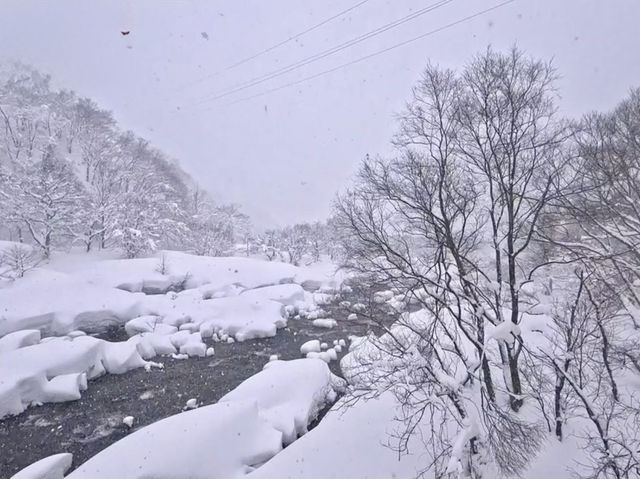 Snowflakes, Lanterns & Surprises — My Winter Escape to Joetsu-Takada