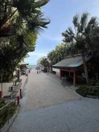 【宮崎】青島神社⛩️