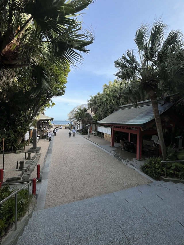 【宮崎】青島神社⛩️