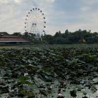 Exploring the Cultural Mosaic of TMII