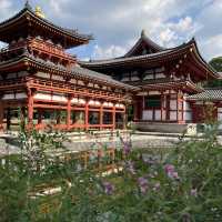 宇治一日悠閒步行！