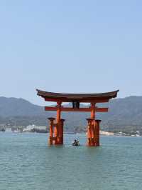 🇯🇵✨【廣島五日四夜暴走旅行團】原子彈遺跡→宮島水上鳥居→兔仔島！交通攻略+打卡秘笈全公開✨🇯🇵   喺屋企啊