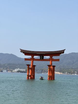 🇯🇵✨【廣島五日四夜暴走旅行團】原子彈遺跡→宮島水上鳥居→兔仔島！交通攻略+打卡秘笈全公開✨🇯🇵   喺屋企啊