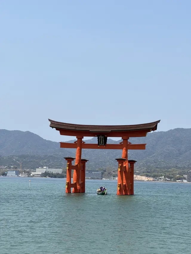 🇯🇵✨【廣島五日四夜暴走旅行團】原子彈遺跡→宮島水上鳥居→兔仔島！交通攻略+打卡秘笈全公開✨🇯🇵   喺屋企啊