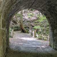 箕面瀑布（Minoh Falls）