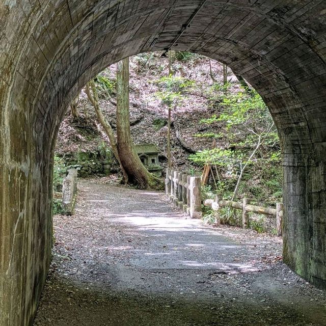 箕面瀑布（Minoh Falls）