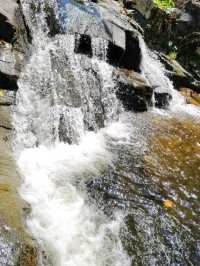 เขตรักษาพันธุ์สัตว์ป่าเขาสอยดาว