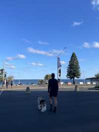 澳洲悉尼Bondi Beac🌊必打卡與大海連成一線的Icebergs Pool