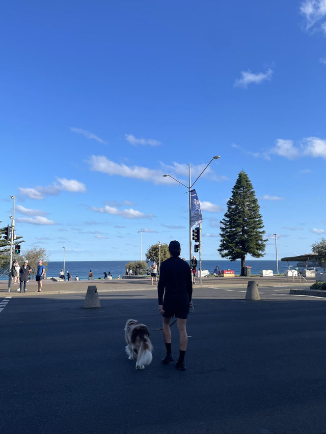 澳洲悉尼Bondi Beac🌊必打卡與大海連成一線的Icebergs Pool