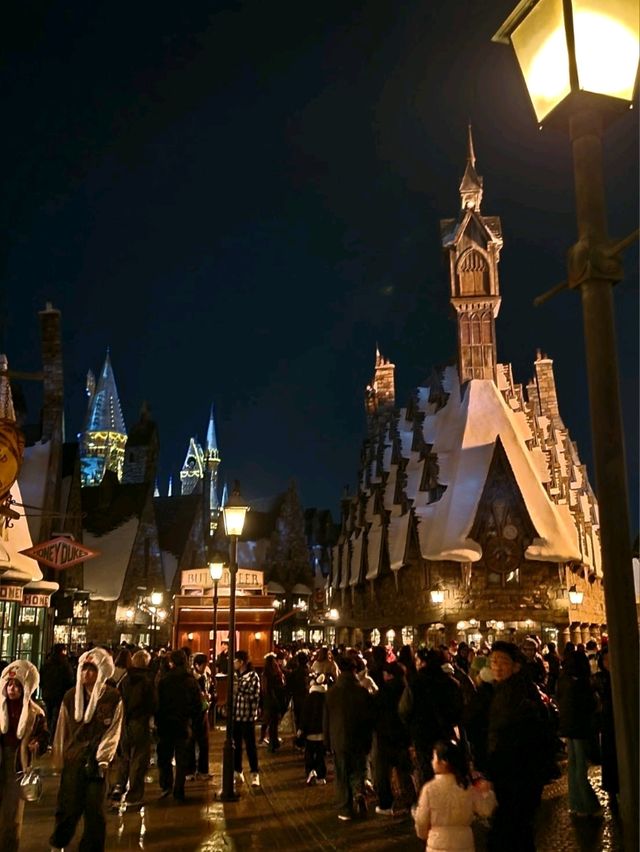 🎠🎢🎡유니버셜 스튜디오 재팬 후기 Magical day at Universal Studios Japan