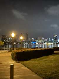 🌌 Centennial Park 야경, 샌디에고의 낭만적인 밤!