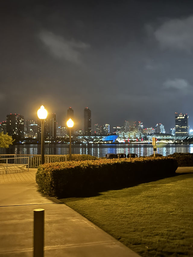 🌌 Centennial Park 야경, 샌디에고의 낭만적인 밤!