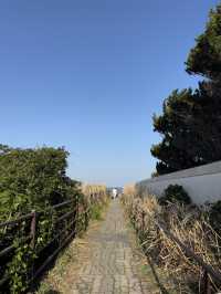 【千葉】白灯台と断崖絶壁の絶景スポット